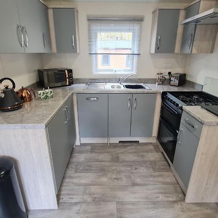 The Ceredigion - Plot 26, Woodlands Lodge Retreat, New Quay, West Wales Llanina Экстерьер фото